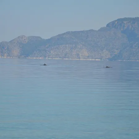 In Kalloni Direkt Am Meer, Tolle Aussicht Apartment