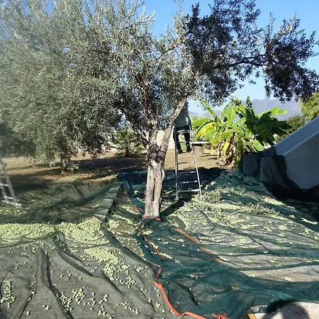 In Kalloni Direkt Am Meer, Tolle Aussicht Apartment *